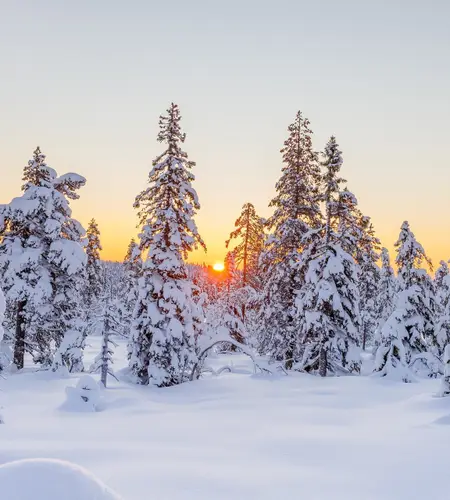 &Omicron;&rho;&gamma;&alpha;&nu;&omega;&mu;έ&nu;&omicron; &tau;&alpha;&xi;ί&delta;&iota; &sigma;&tau;&omicron; &Mu;&pi;ά&nu;&sigma;&kappa;&omicron; &gamma;&iota;&alpha; ski (&Mu;ά&rho;&tau;&iota;&omicron;&sigmaf; 2027)
