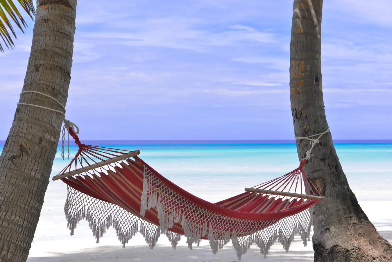 Relaxing summer time exotic